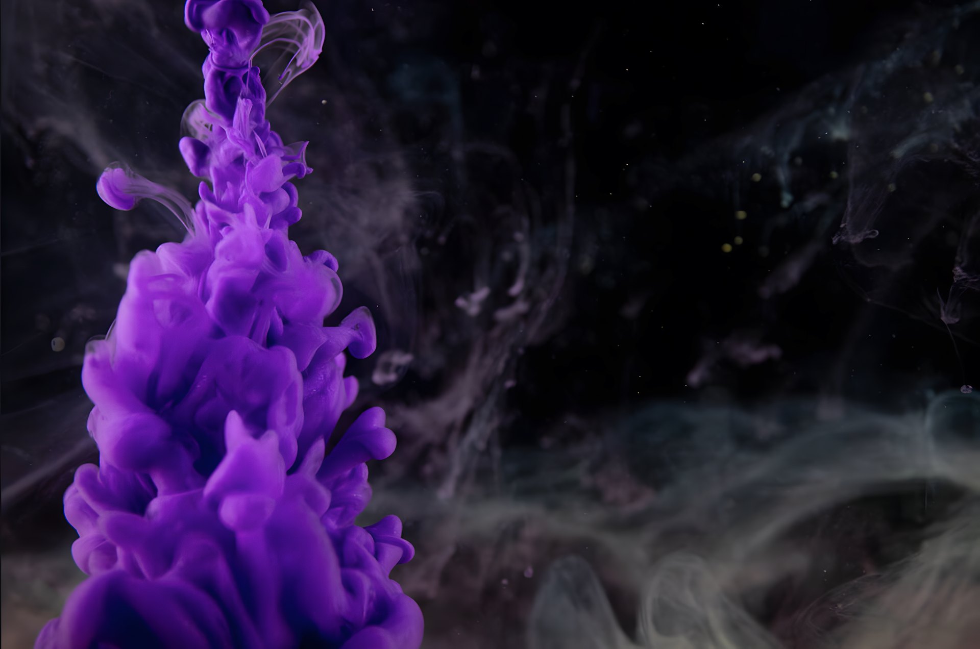 Awake & Dreaming Album Cover 7