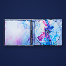 Inevitable CD case open, the printed disc in a clear tray