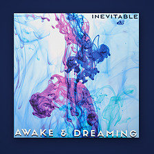 Inevitable LP jacket front: blue, magenta and teal ink clouds under the album title